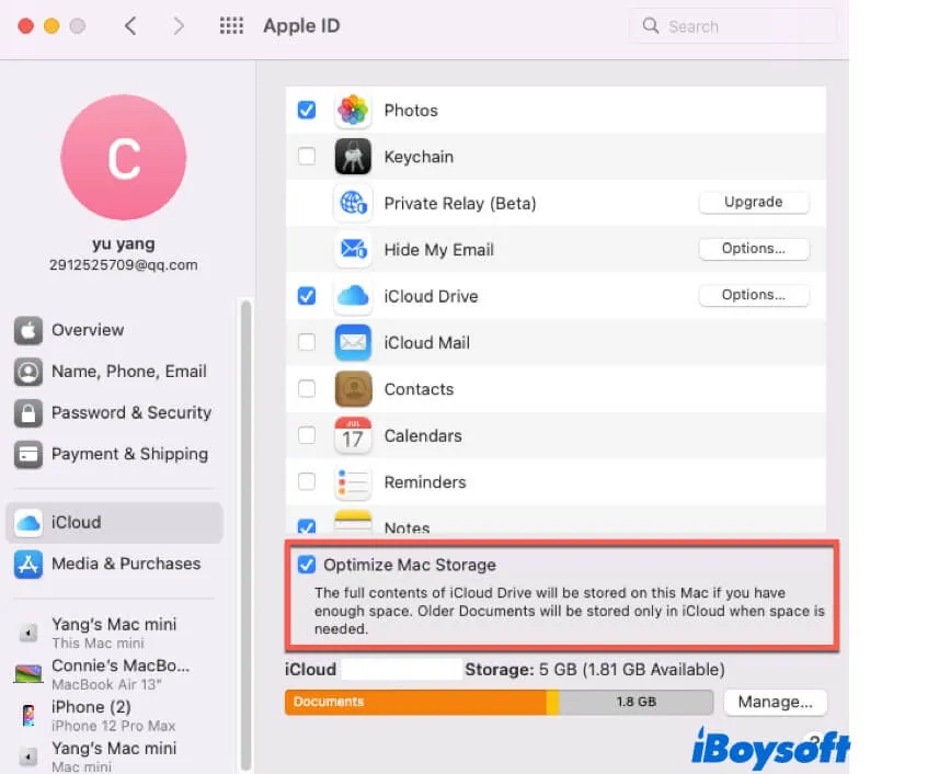 check if Optimize Mac Storage is enabled in iCloud