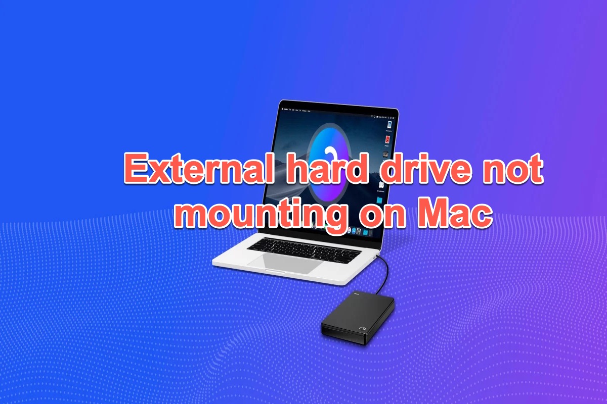 Externe Festplatte wird auf Mac nicht erkannt