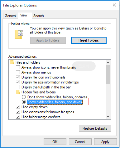 how to show hidden files in Windows