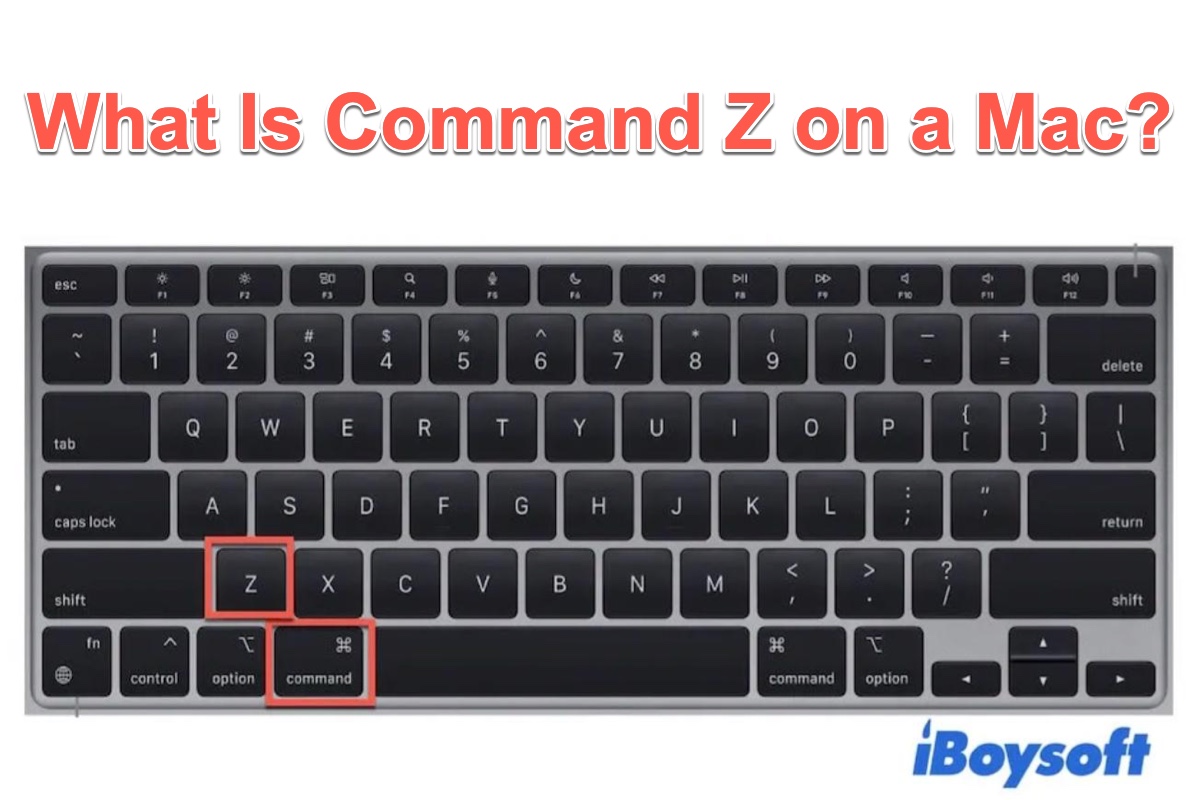 Command Z Mac