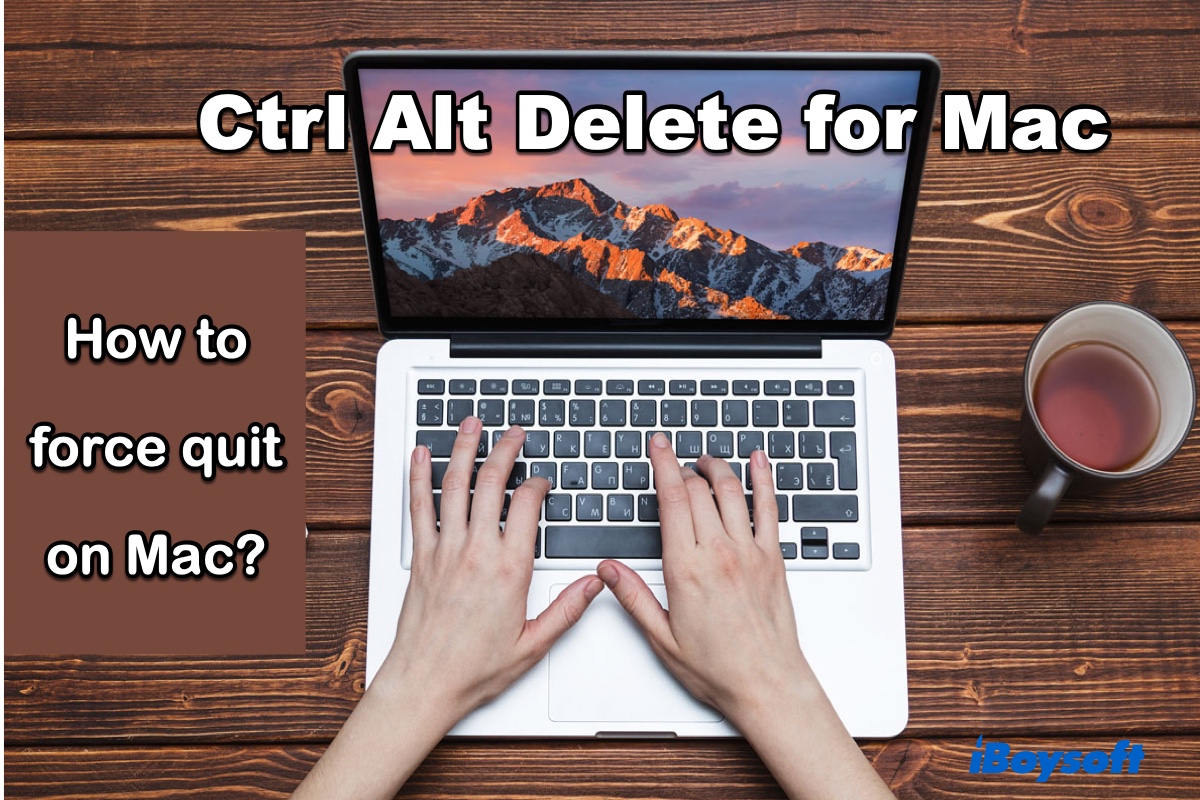 Ctrl Alt Delete for Mac