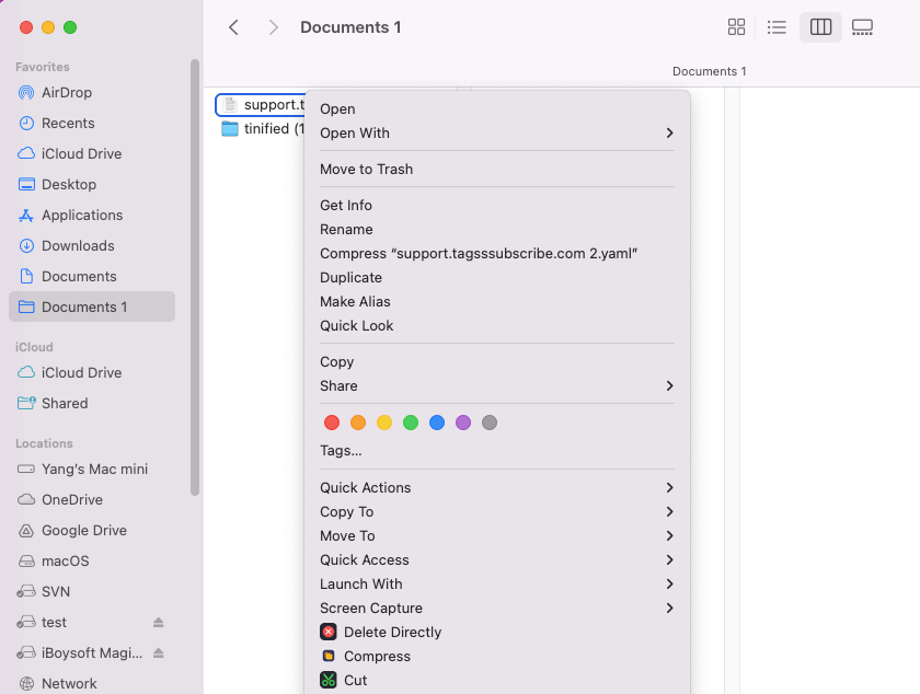 iBoysoft Launch With