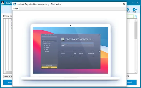 Previsualiza archivos en la unidad USB con iBoysoft Data Recovery