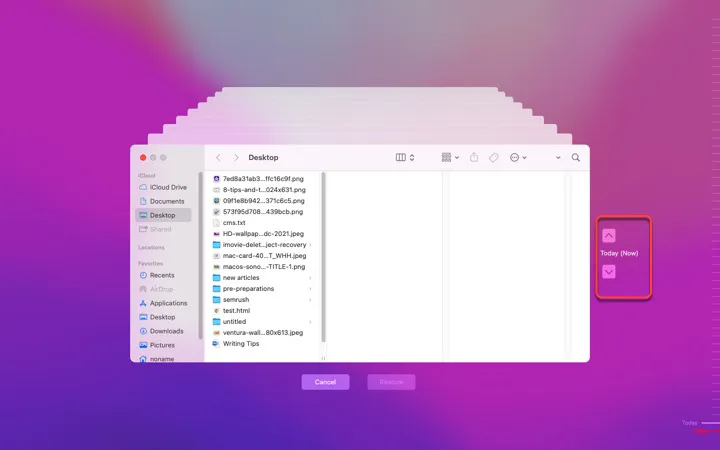 Wie man gelöschte oder fehlende OneNote-Seiten auf dem Mac wiederherstellt
