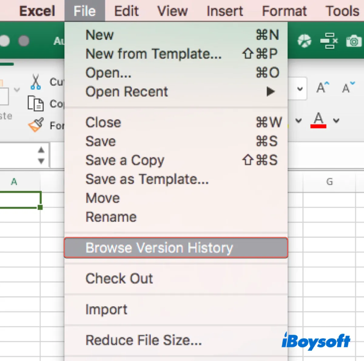 Suche nach Versionverlauf ausgegraut auf Excel
