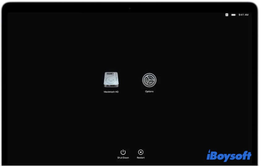 cliquez sur Options pour entrer en mode de récupération sur un Mac Apple Silicon