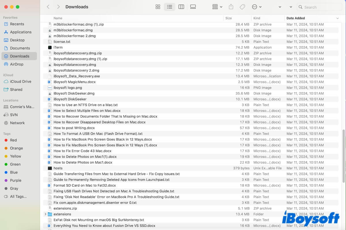 Downloads folder on Mac