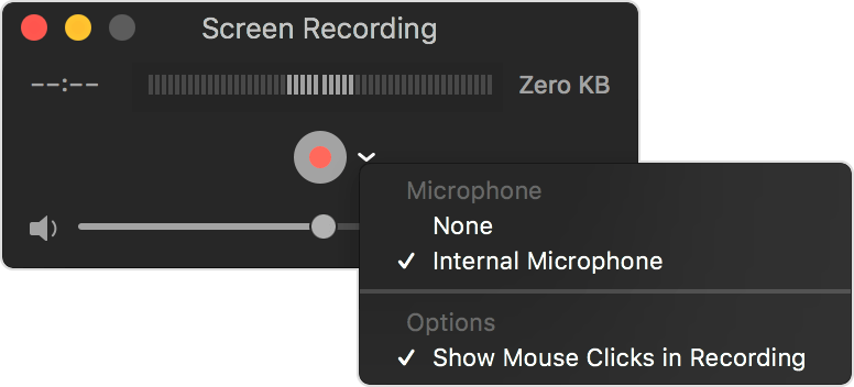 screen recording microphone 
