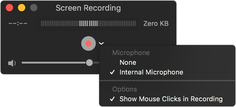 screen recording microphone