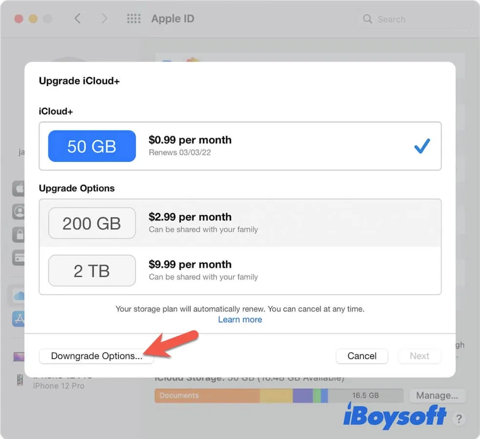 click downgrade options in iCloud on Mac