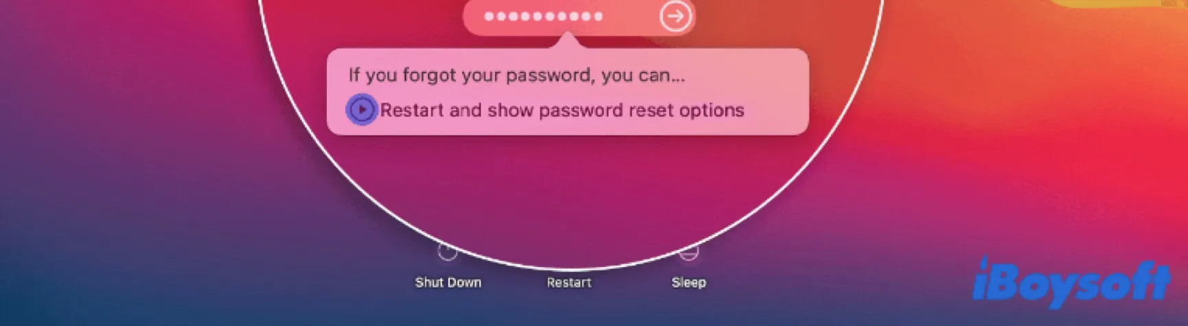 Mac neu starten und Passwortrücksetzungsoptionen anzeigen