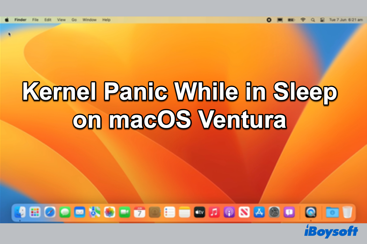 kernel panic while in sleep