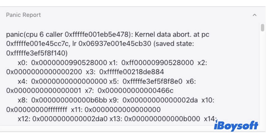 kernel panic report on Mac