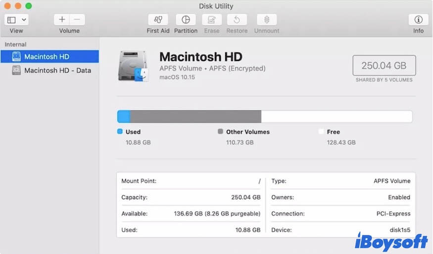 Macintosh HD e Macintosh HD Data