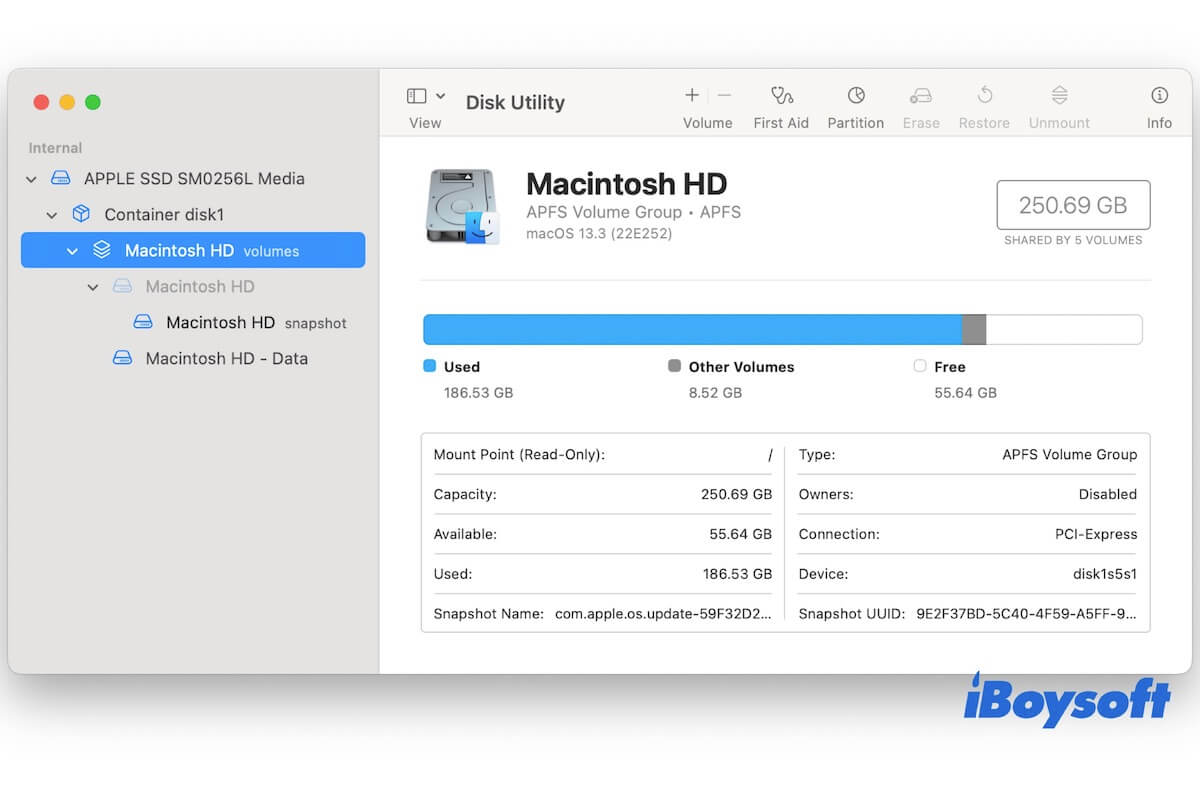 zwei Macintosh HD Volumes nach sauberer Installation