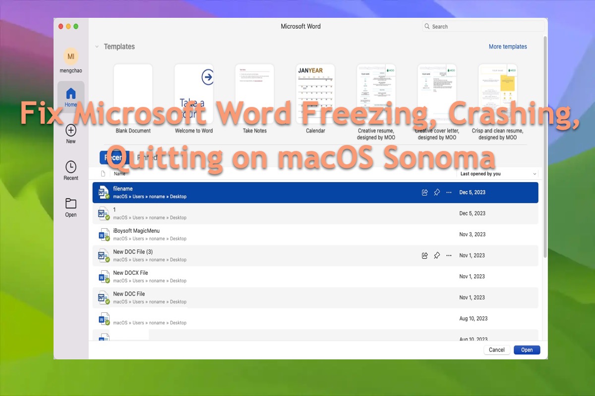 Microsoft Word stürzt ab und friert ein unter macOS Sonoma