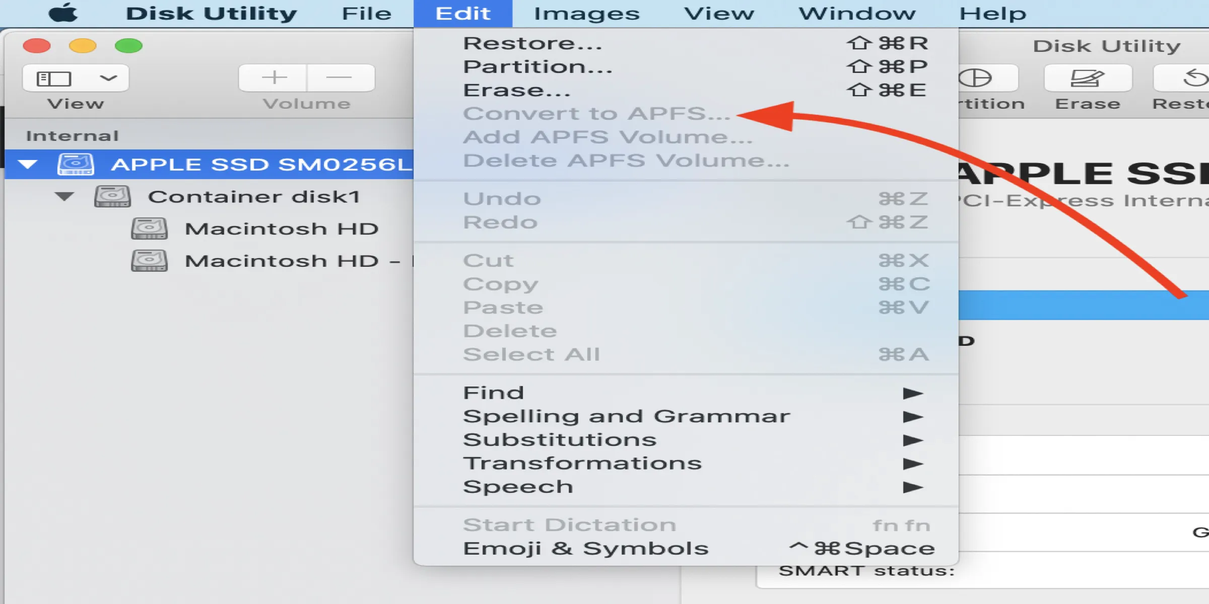 Convert to APFS option not available
