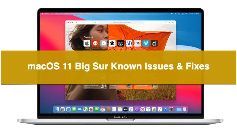 Fix macOS 11 Big Sur Updates problems