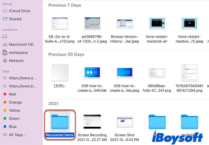 imagem mostrando a pasta Itens Recuperados na Lixeira do Mac