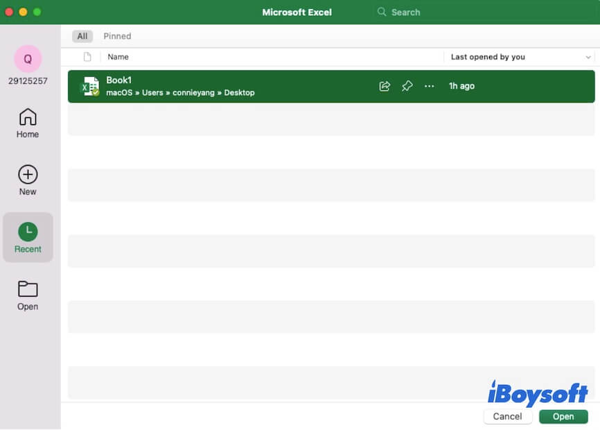 Nicht gespeicherte Excel-Datei aus der Liste