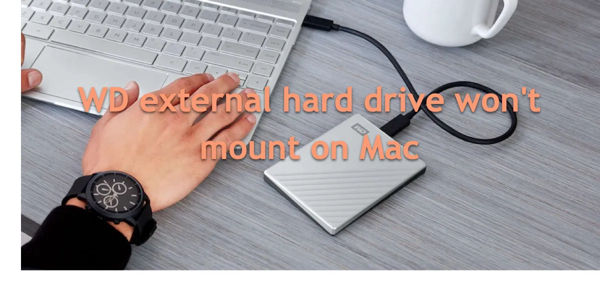 WD externe Festplatte wird auf Mac nicht eingehängt
