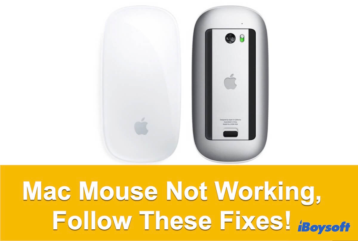 mouse de aplicación que no funciona