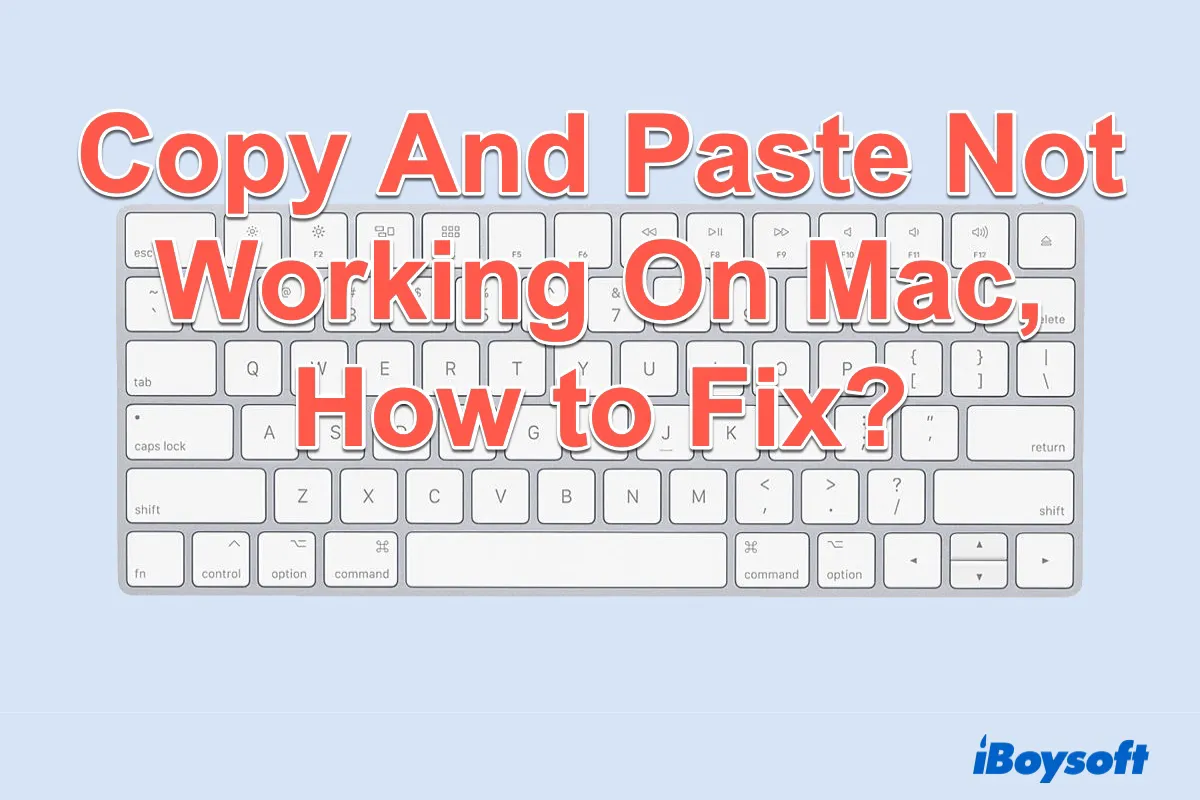 copy and paste not working Mac