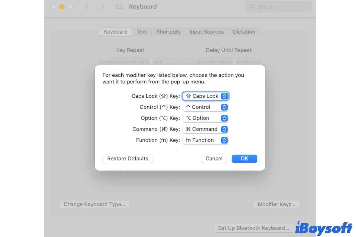 Ctrl C not working Mac