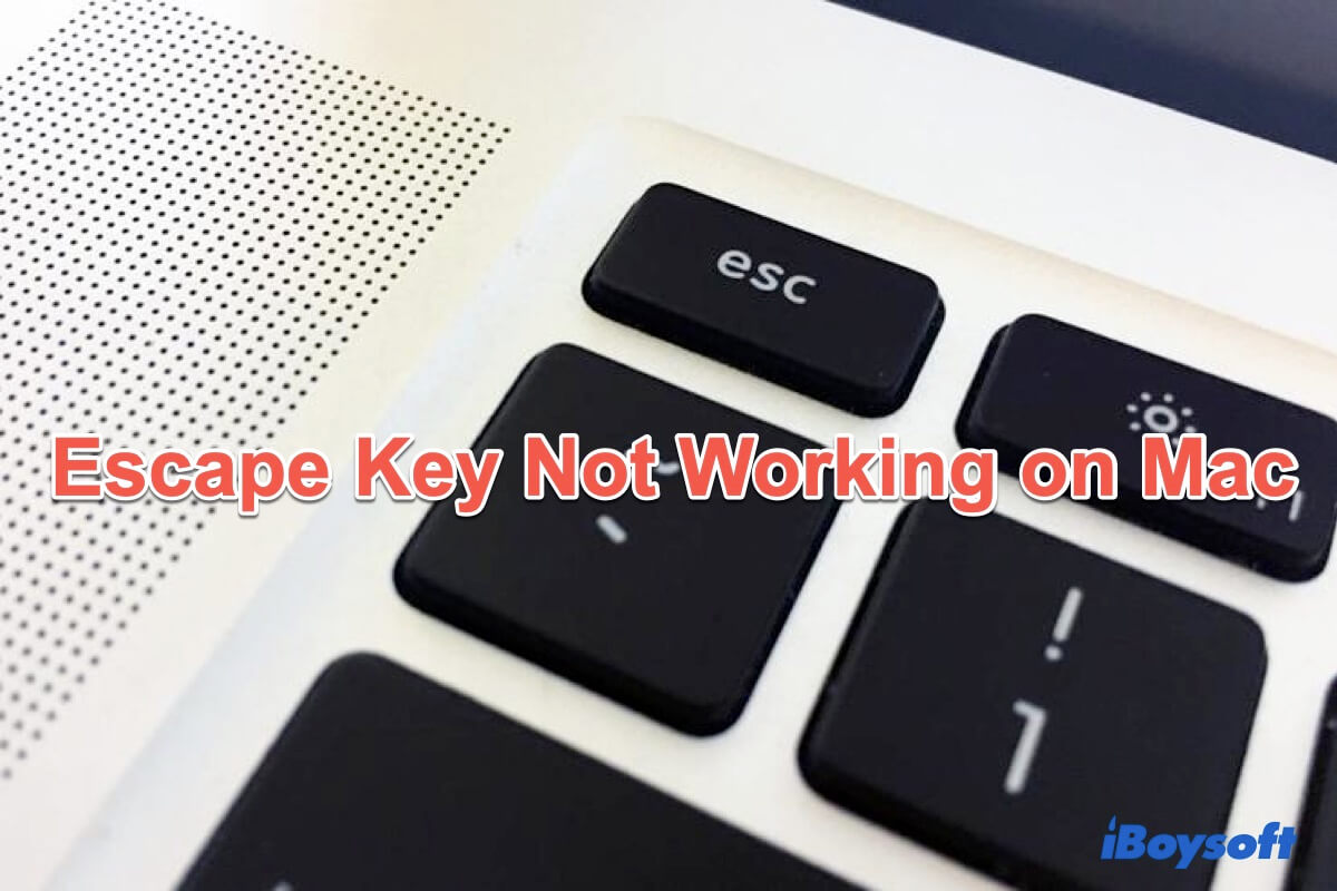 escape key not working on Mac