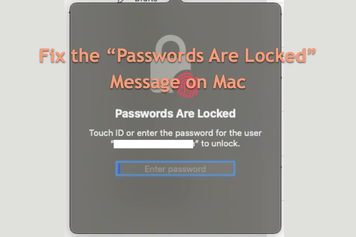 Cómo arreglar el mensaje Las contraseñas están bloqueadas en Mac