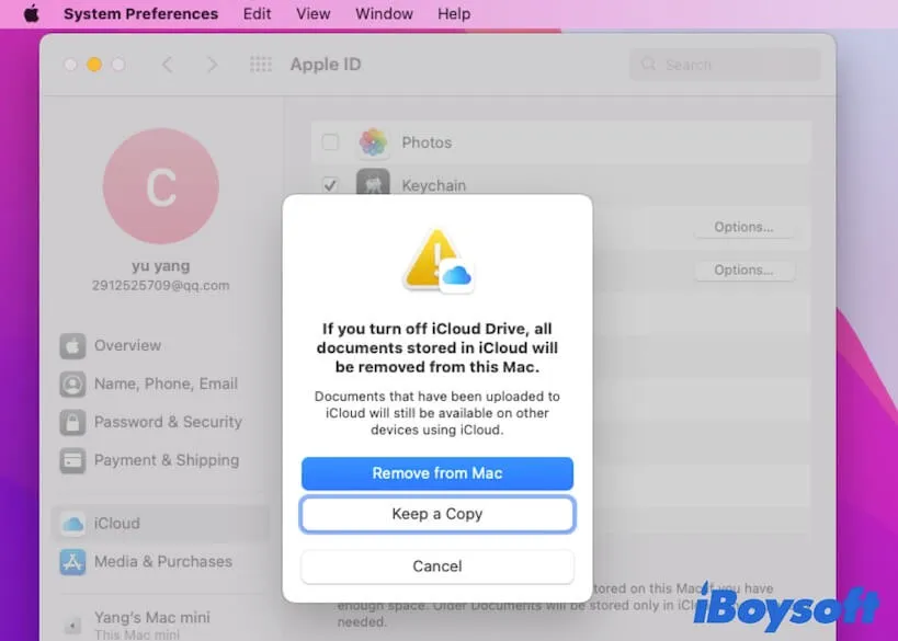 turn off iCloud on Mac to stop Bird process