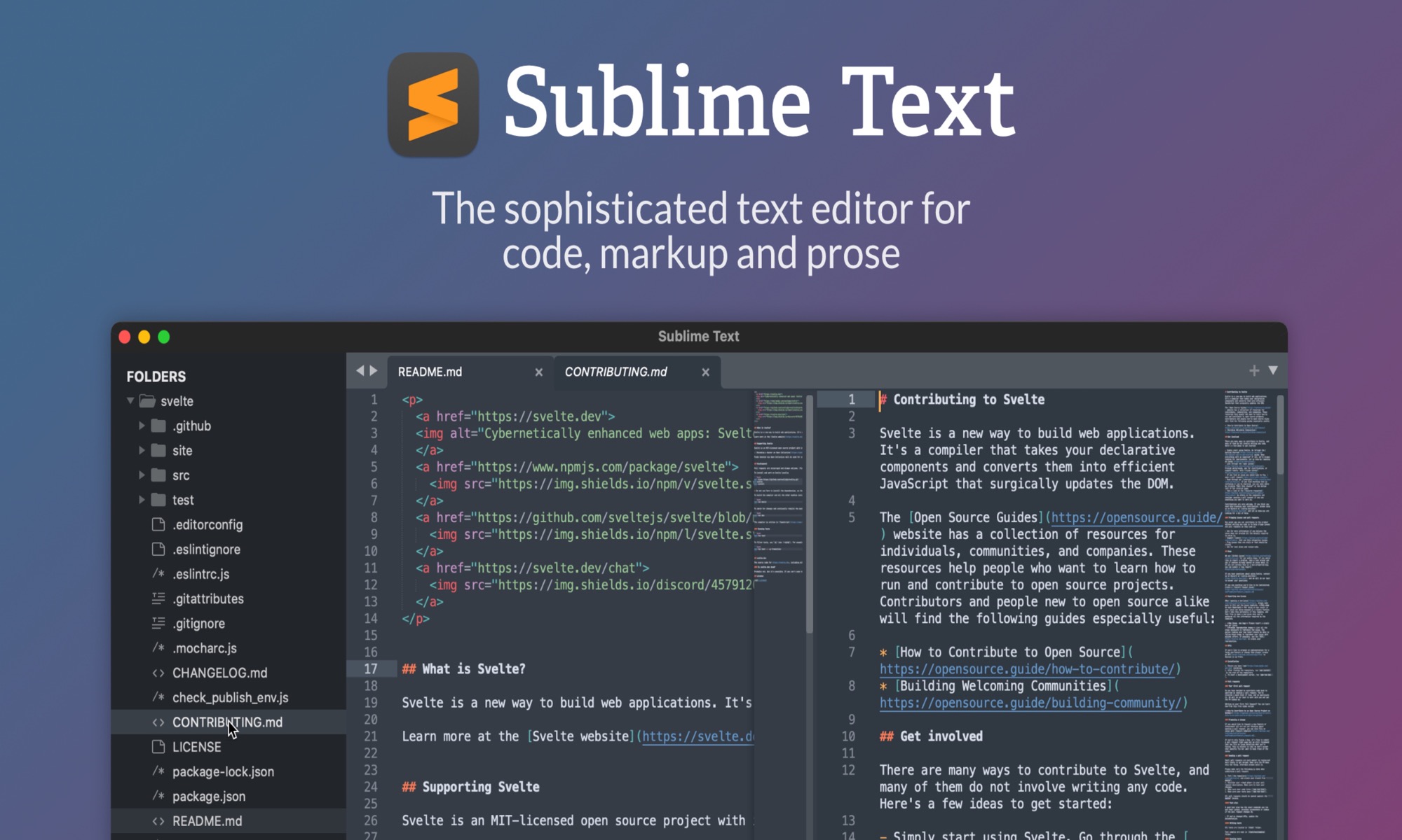 interface Sublime Text