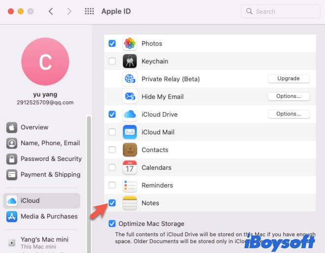 Aktivieren Sie iCloud für Notizen auf dem Mac