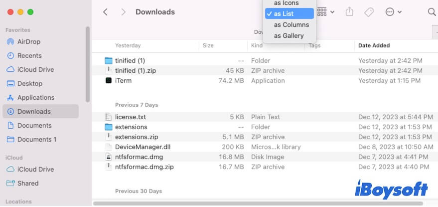 Objekte als Liste im Downloads-Ordner auf dem Mac anzeigen