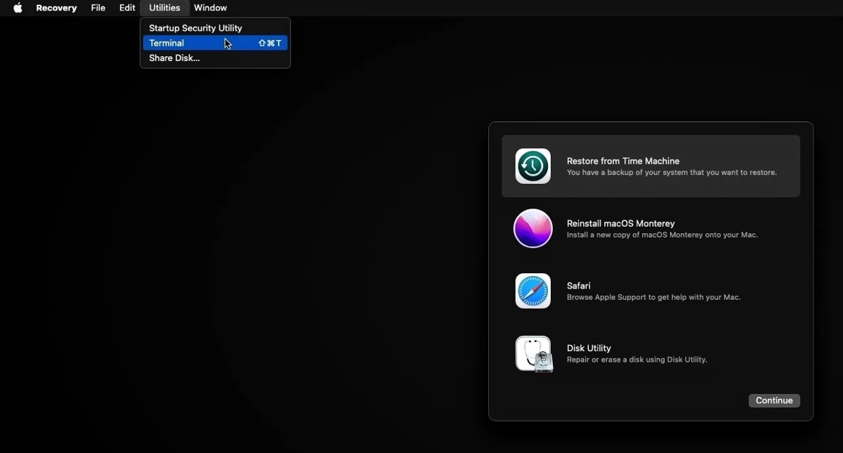 Access Terminal from Recovery Mode to reset password