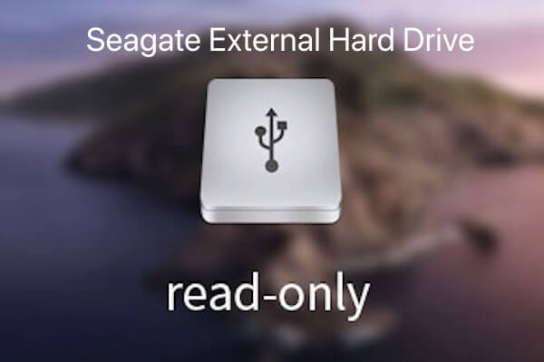 修正 Seagate外部ハードドライブ