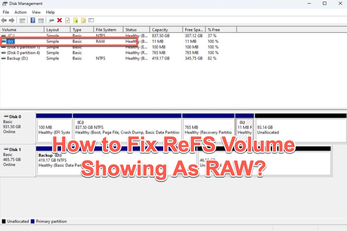 ReFS Volume Mostrando como RAW