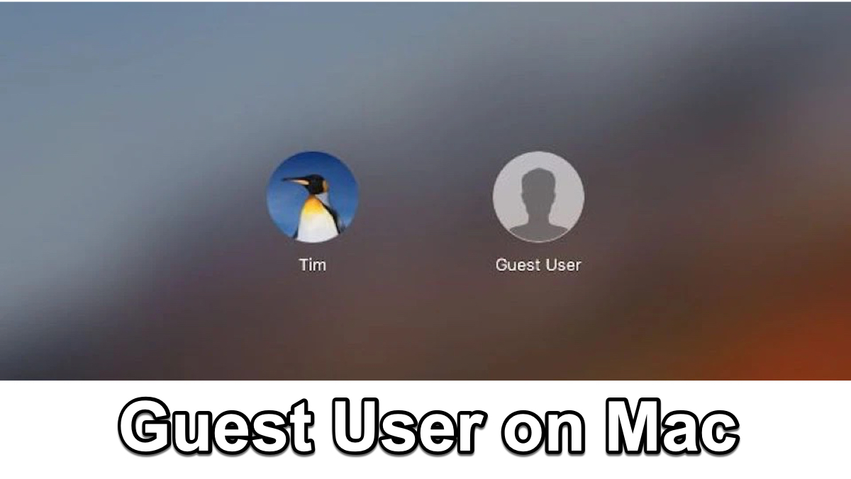 Guest user on Mac