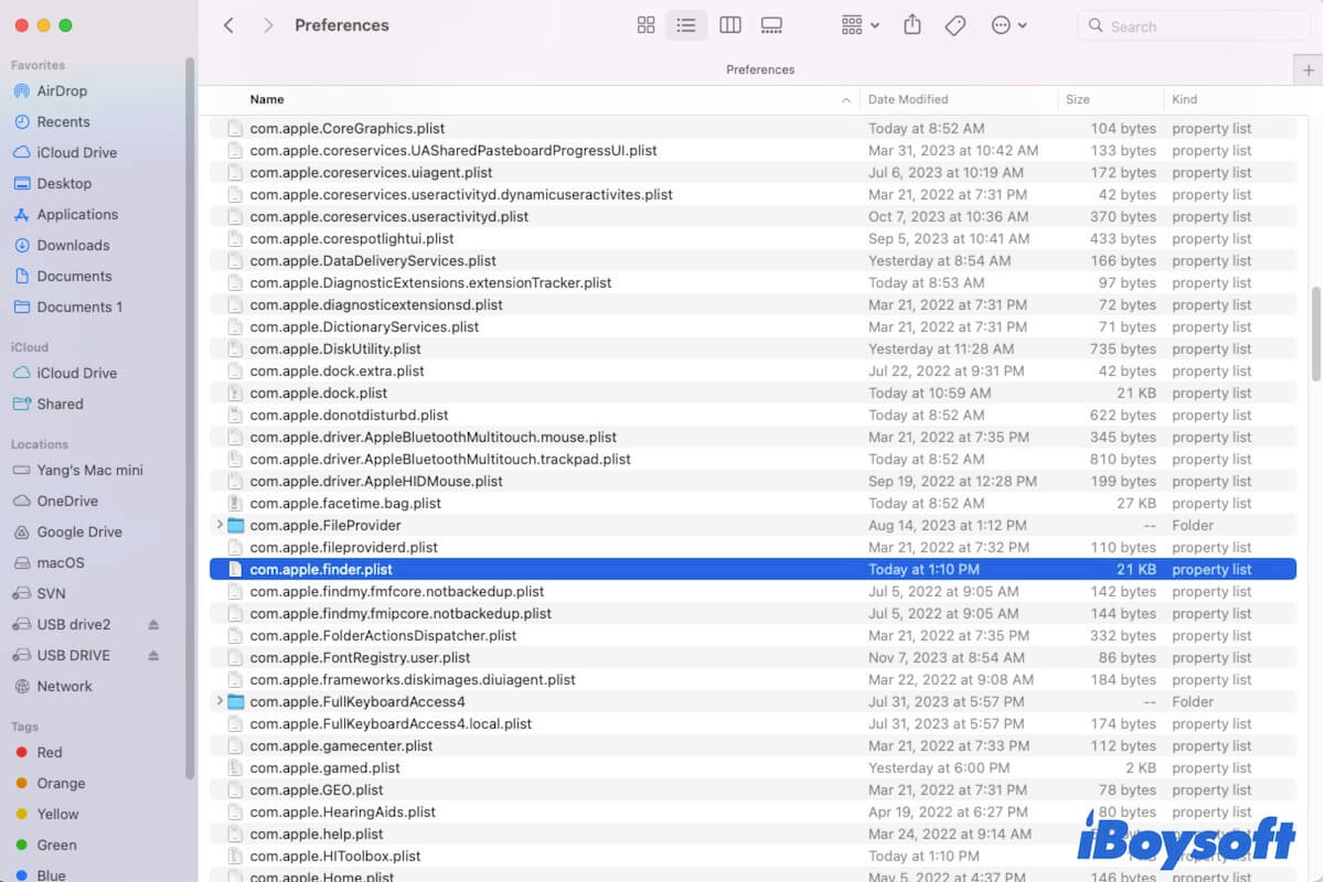 Library Preferences folder on Mac