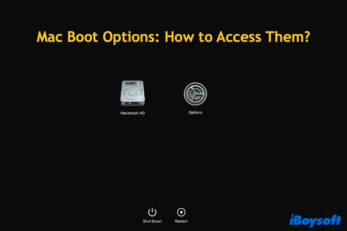 Mac boot options