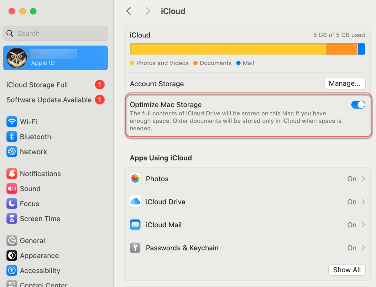 Disable Optimize Mac Storage to avoid error 8062 when copying files from iCloud