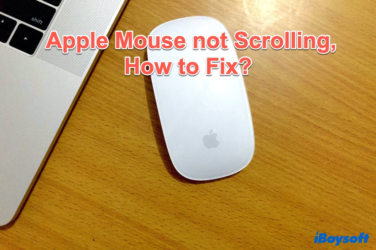 Apple Mouse ne défile pas