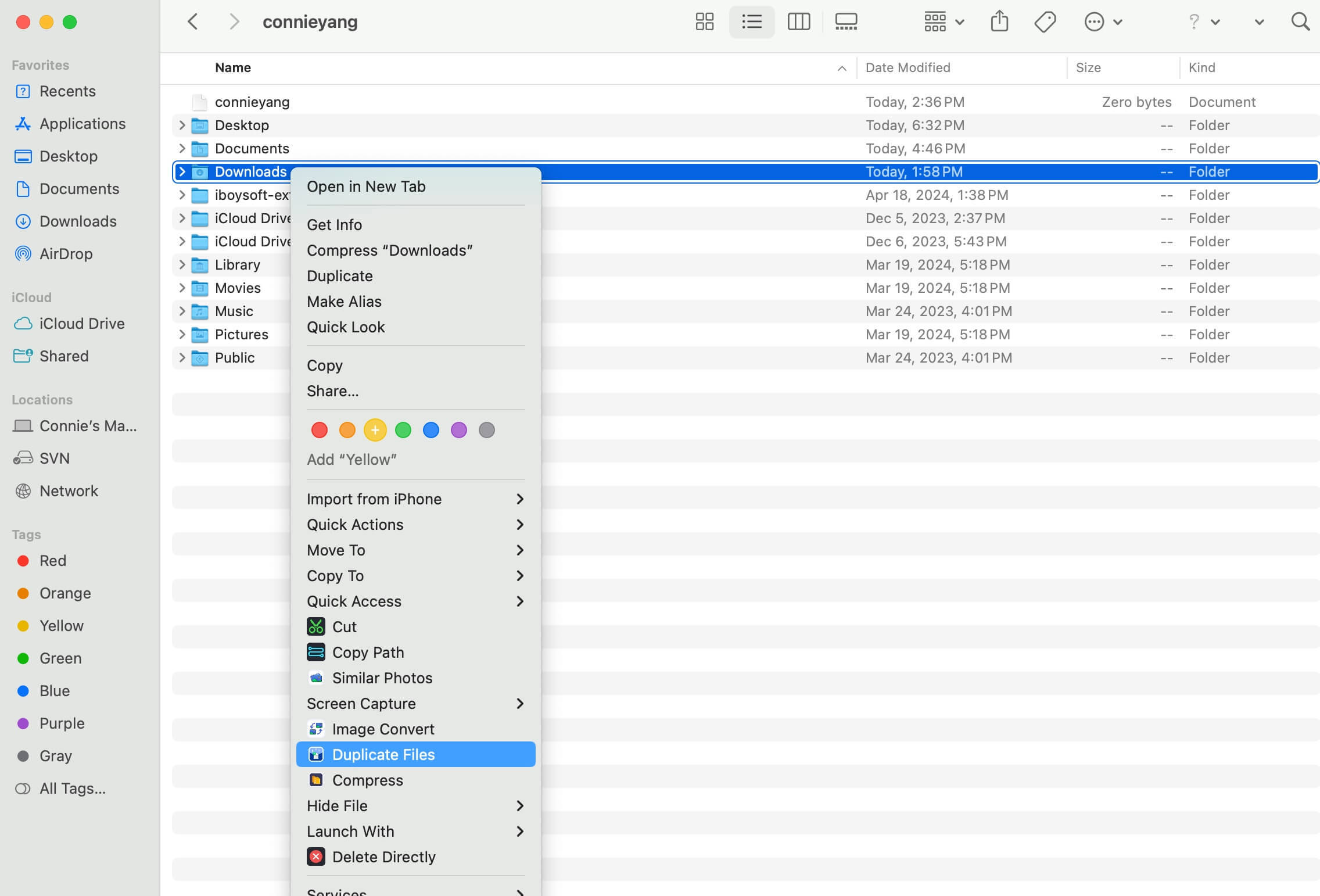 find duplicates in Downloads folder