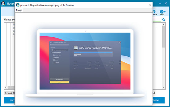 File preview of iBoysoft Data Recovery